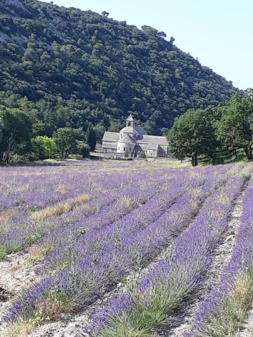 Bastidon Plein Sud 3*, Promo fin d'été à Gordes. Vila Exterior foto