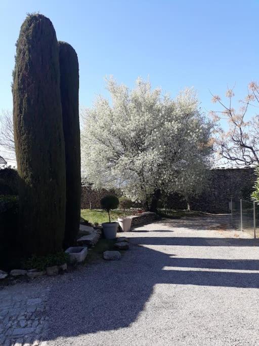 Bastidon Plein Sud 3*, Promo fin d'été à Gordes. Vila Exterior foto